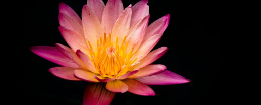 ryan-baker-212119-unsplash